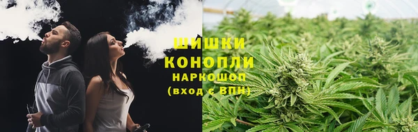 гашик Кодинск