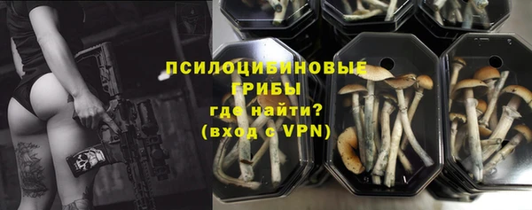 герыч Козловка