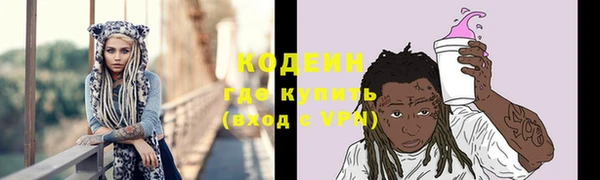 гашик Кодинск
