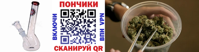 Купить  Котлас  Шишки марихуана Amnesia 